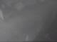 Fort Lauderdale, Florida 24.04.2025 02:49