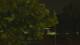 Callisburg, Texas 15.06.2025 02:54