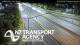 Greenlane 15.06.2025 03:52