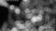 Hohegeiss 30.04.2025 03:53