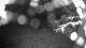 Averill Park, New York 19.03.2025 03:53