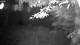 Averill Park, New York 02.07.2025 03:53