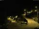 Campodolcino 16.05.2025 03:53