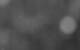 Praxmar 01.07.2025 03:53