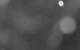 Praxmar 30.04.2025 03:53