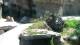 San Diego, California 08.05.2025 03:53