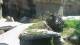 San Diego, California 21.05.2025 03:53