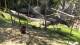 San Diego, California 03.07.2025 03:53