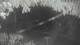 Gabsheim 02.07.2025 03:54