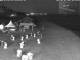 Heringsdorf (Usedom) 01.05.2025 03:55