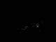 Pfarrwerfen 03.07.2025 03:54