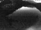 Tristach 14.06.2025 03:54
