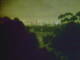 Linley Point 01.07.2025 03:54