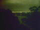 Linley Point 11.05.2025 03:55