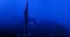 Edelweissspitze 10.07.2025 03:55