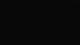 Seignosse 30.05.2025 03:56