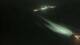 Montbéliard 30.04.2025 03:56