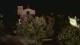 Farmers Branch, Texas 15.06.2025 03:11