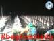 Cesenatico 14.07.2025 03:47
