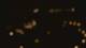 San Antonio, Texas 11.05.2025 03:13