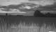 't Zandt 15.06.2025 03:58
