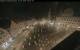 Augsburg 01.05.2025 03:47