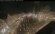 Augsburg 01.05.2025 03:47