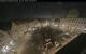 Augsburg 02.07.2025 03:47