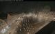 Augsburg 09.06.2025 03:47