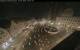 Augsbourg 18.05.2025 03:47