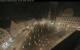 Augsbourg 30.04.2025 03:47