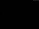 Schneverdingen 09.06.2025 03:47