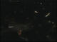 Gottinga 30.04.2025 03:47