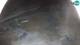 Ravascletto 30.04.2025 03:12