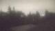 Medina, Washington 04.08.2026 03:16