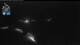 Flattach 09.06.2025 03:12