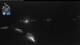 Flattach 09.06.2025 03:12