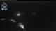 Flattach 03.07.2025 03:12