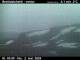 Breiðdalsheiði 01.05.2025 03:02