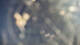 Busum 11.05.2025 03:13