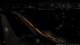 Kehl 09.06.2025 03:14