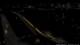 Kehl 30.04.2025 03:14