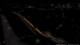 Kehl 30.04.2025 03:14