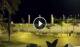 Los Christianos (Teneriffa) 30.04.2025 03:04