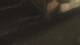 Colorado Springs, Colorado 30.04.2025 03:19