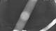 Gartow 01.05.2025 03:15