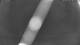 Gartow 30.04.2025 03:15