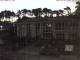 Karlshagen 19.06.2025 03:15