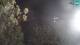 Povile 01.05.2025 03:15