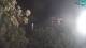 Povile 17.04.2025 03:15